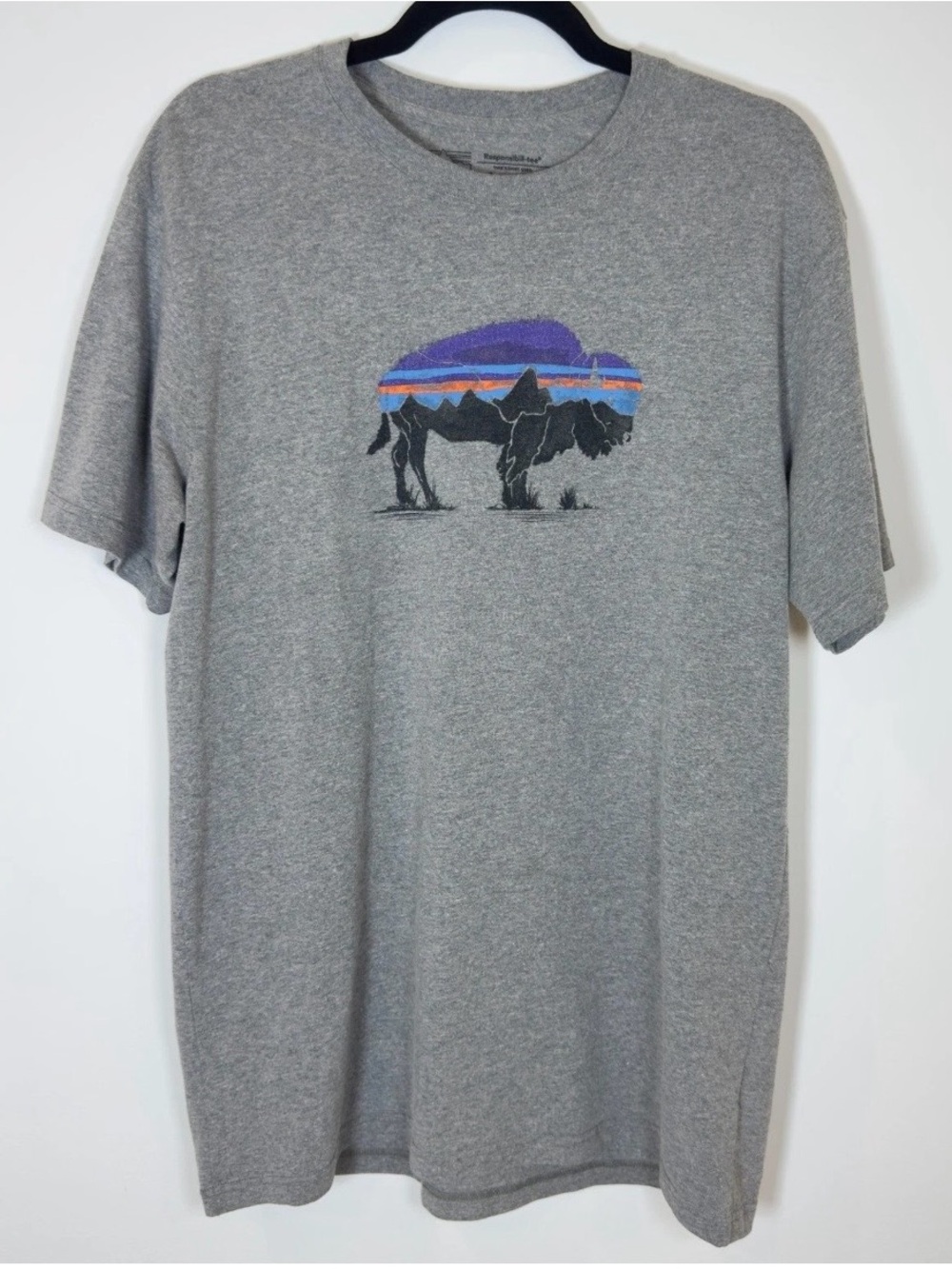 Patagonia Fitz Roy bison graphic t-shirt, Men’s sz Large, Gray